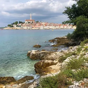 https://apartments-golden-goose.in-istria.net